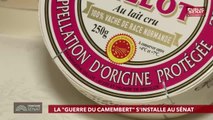 Invité : André Reichardt - Territoire Sénat (03/04/2019)