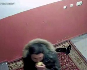 Elma Yiyerek Ayakkabı Çalan Hırsız Kamerada