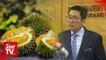 China to inspect Malaysian durian facilities this month