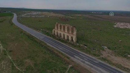Tarihi Hastane Duvarının Kanatlı Misafirleri Geldi