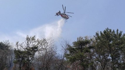 부산서 또 산불...임야 천7백㎡ 태워 / YTN