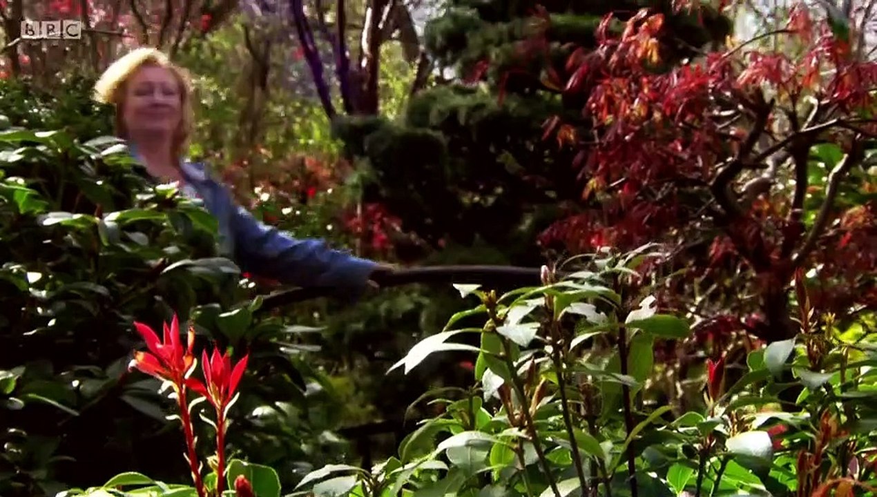 Garden Rescue episode 14 2018 video Dailymotion