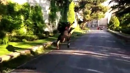 Sport - The most funny moments in the sport in 2018