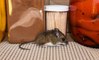 6 astuces naturelles pour se débarrasser des souris