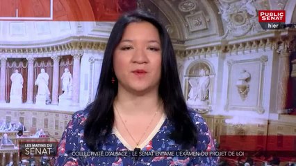 Collectivité d'Alsace : le Sénat entame l'examen du projet de loi - Les matins du Sénat (03/04/2019)