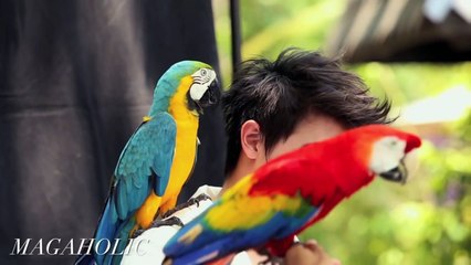 온라인바카라사이트 (ニWIL222.COMニ) 온라인바카라사이트