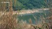 Reservoir dries up as popular Thai tourist resort suffers crippling water shortage crisis