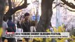 Yeouido Cherry Blossom Festival kicks off Friday