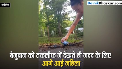बीयर कैन में फंसा सांप, महिला ने बहादुरी से निकाला- VIDEO
