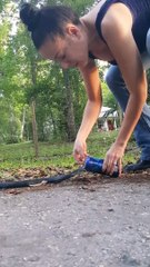 Un serpent dangereux coincé dans une canette de boisson