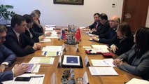 Ticaret Bakanı Pekcan, Rusya Enerji Bakanı Novak ile görüştü - MOSKOVA