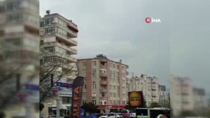 Adana semalarında leyleklerden görsel şölen