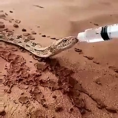 insanlık şefkat ve merhamet