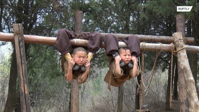 Little monks swinging in a tree! 6y/o trainees exhibit remarkable feats of strength
