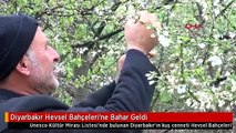 Diyarbakır Hevsel Bahçeleri'ne Bahar Geldi