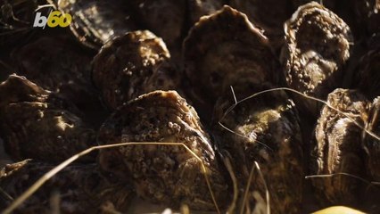 Eating This Shellfish May Help Fight Depression And Anxiety: Report