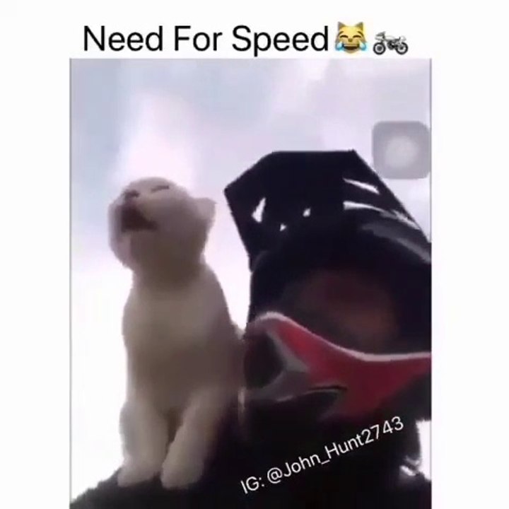 WTF! NEED FOR SPEED