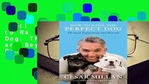 Full version  How to Raise the Perfect Dog: Through Puppyhood and Beyond  Best Sellers Rank : #1