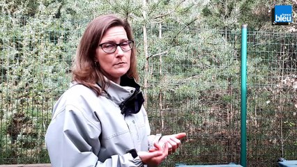 Magali Trichot – Animatrice, maitre composteur au SMD 3