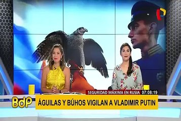 Rusia: águilas y búhos resguardan invernaderos del kremlin