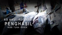 AS Akui Indonesia Penghasil Ikan Tuna Dunia
