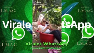 COMPILADO-Virales WhatsApp/COMPILED-Virals WhatsApp