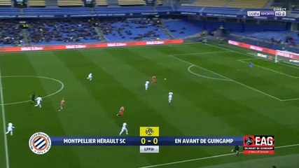 Montpellier 2-0 Guingamp - les Buts - 03.04.2019