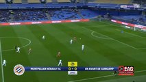 Montpellier 2-0 Guingamp - les Buts - 03.04.2019