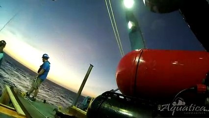 Aquatica Submarines - Mapping The Great Blue Hole