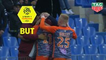 But Andy DELORT (22ème) / Montpellier Hérault SC - EA Guingamp - (2-0) - (MHSC-EAG) / 2018-19