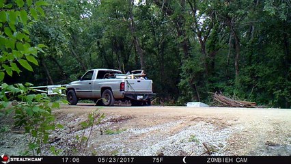 Trail Camera Catches Rebar Thief