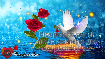 FELIZ SABADO ☀️ ESTE MENSAJE ES PARA TI  UN LINDO VIDEO PARA DEDICAR Y COMPARTIR