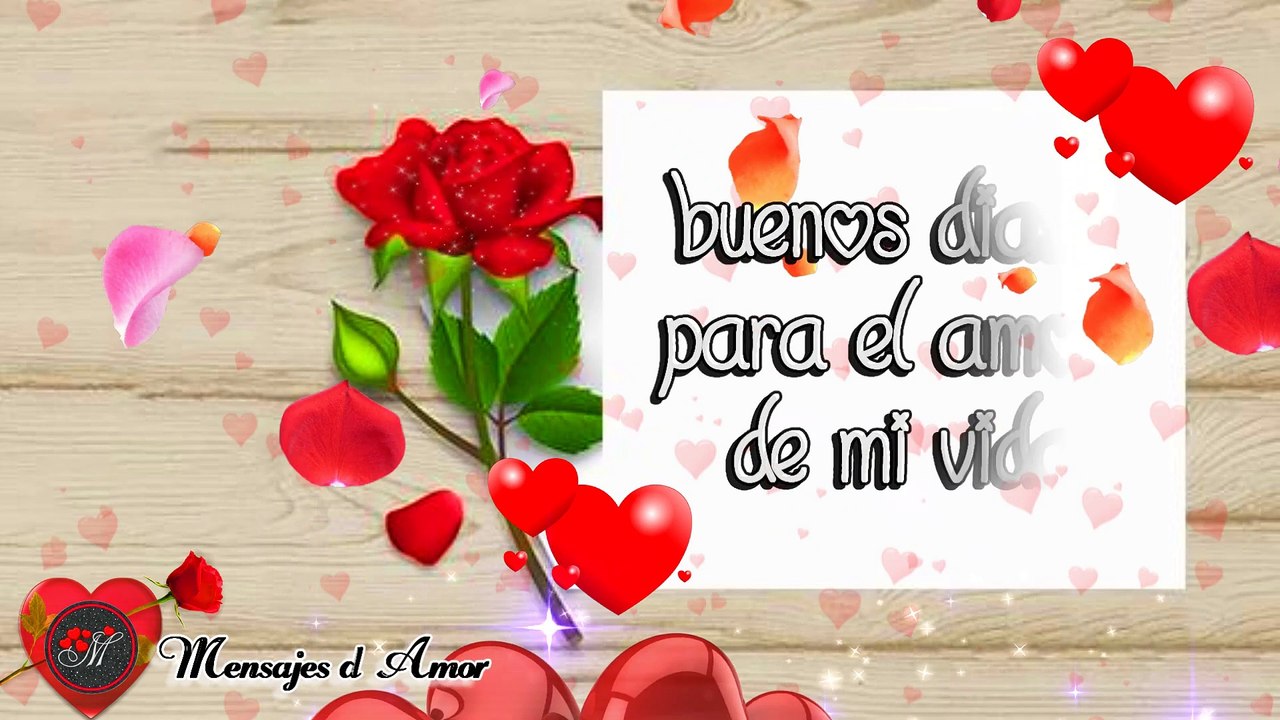 HOLA MI AMOR  BUENOS DIAS ❤️TE DEDICO ESTE VIDEO DE AMOR PORQUE TE AMO