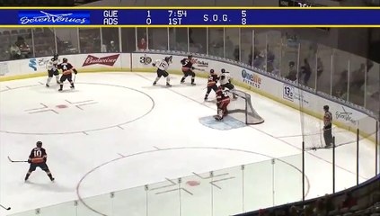 ECHL Greenville Swamp Rabbits 2 at Norfolk Admirals 1