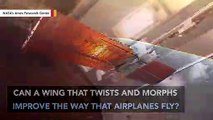 NASA Creating Wings That Change Shape During Flight