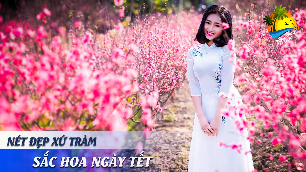 [NÉT ĐẸP XỨ TRẦM] "NỨC LÒNG" SẮC HOA XUÂN | NHA TRANG TRAVEL