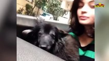 Salman Khan's Ex Girlfriend Sneha Ullal's FUNNY Videos will Make You Laugh - Biscoot TV