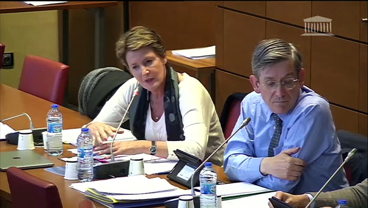 Commission des finances : Taxe sur les services numériques et modification de la trajectoire de baisse de l’impôt sur les sociétés (suite) - Mercredi 3 avril 2019