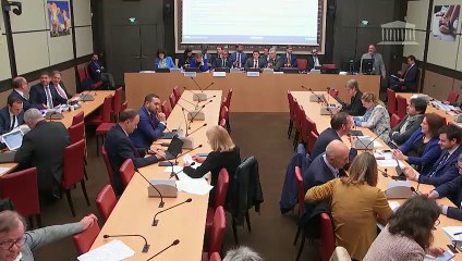 Commission des affaires économiques : Intérêts de la sécurité nationale de la France - Mercredi 3 avril 2019