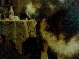 la fouine-reste en chien