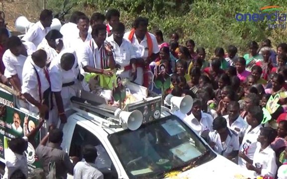அதிமுக வேட்பாளர் ரவீந்திரநாத் குமார் சோழவந்தான் விராலிப்பட்டி கிராமத்தில் வாக்கு சேகரிப்பு- வீடியோ