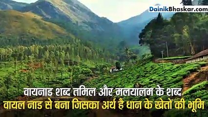 काली मिर्च और कॉफी के लिए मशहूर है राहुल का वायनाड