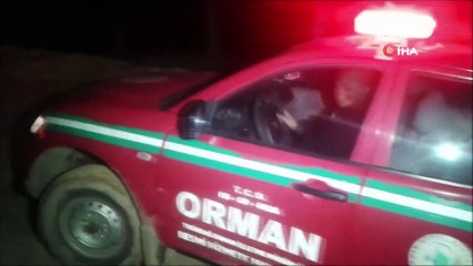 Tekirdağ'da Ormanda Yangın Çıktı