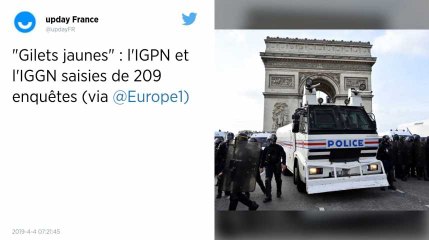 Gilets jaunes. L’IGPN et l’IGGN saisies de 209 enquêtes pour des soupçons de violences policières