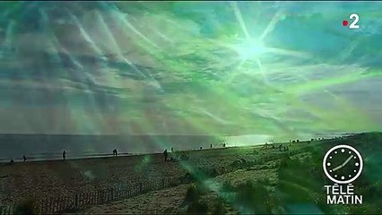 Climat : la hausse des températures influe sur le sexe des poissons