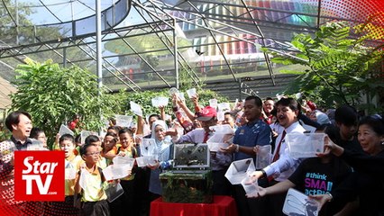 Butterflies go free at the Science Centre