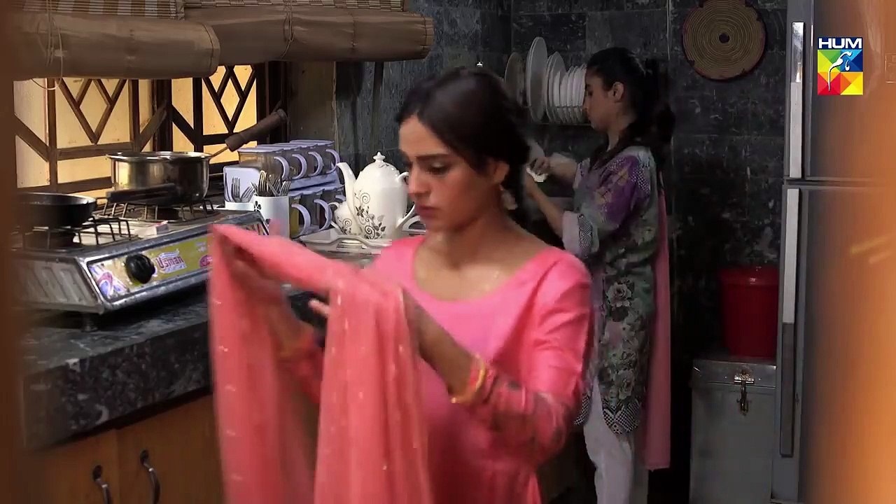 Ranjha Ranjha Kardi Episode #19 HUM TV Drama