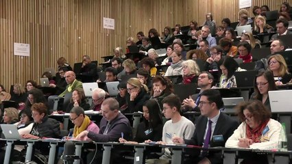 F. PAULIN_MOULARD - Les évolutions institutionnelles depuis 2005