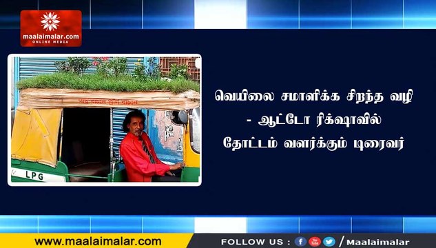 வெயிலை சமாளிக்க சிறந்த வழி - ஆட்டோ ரிக்‌ஷாவில் தோட்டம் வளர்க்கும் டிரைவர்