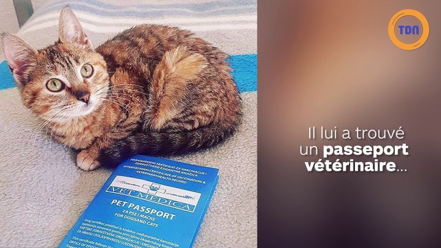Il fait le tour du monde à vélo avec un chat errant qui a croisé sa route !